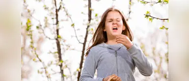 ¿Te tapas la nariz al estornudar? Esta es la razón por el que no debes hacerlo ¿Te tapas la nariz al estornudar? Esta es la razón por el que no debes hacerlo