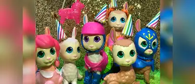 ¡Llamas peruanas son las nueva tendencia en colección de juguetes! ¡Llamas peruanas son las nueva tendencia en colección de juguetes!