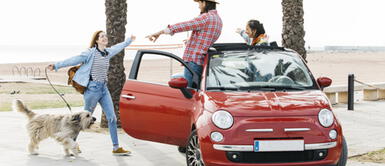 ¿Viaje en auto con tu perro? Consejos para hacerlo sin problemas ¿Viaje en auto con tu perro? Consejos para hacerlo sin problemas