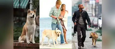 8 animales que fallecieron en películas y nos hicieron llorar como bebés 8 animales que fallecieron en películas y nos hicieron llorar como bebés