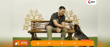 Conoce nuestra nueva app y entérate todo sobre el mundo de nuestras mascotas Conoce nuestra nueva app y entérate todo sobre el mundo de nuestras mascotas