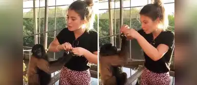 El divertido momento que vivió Flavia Laos al lado de un mono El divertido momento que vivió Flavia Laos al lado de un mono