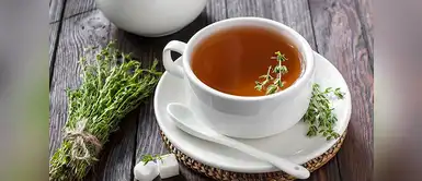 Té de orégano: los beneficios que brinda y cómo prepararlo Té de orégano: los beneficios que brinda y cómo prepararlo