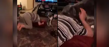 Increíble video demuestra cómo un gato calma a un niño con autismo Increíble video demuestra cómo un gato calma a un niño con autismo