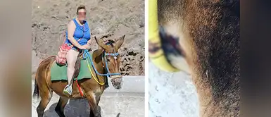 Turistas 'subidos de peso' hieren a burros que los trasladan a Islas Griegas Turistas 'subidos de peso' hieren a burros que los trasladan a Islas Griegas