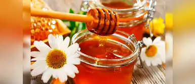 Miel de abeja: 5 poderosas razones para que este producto nunca falte en casa Miel de abeja: 5 poderosas razones para que este producto nunca falte en casa