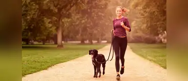 Cuida la salud de mascota realizando estas actividades físicas Cuida la salud de mascota realizando estas actividades físicas