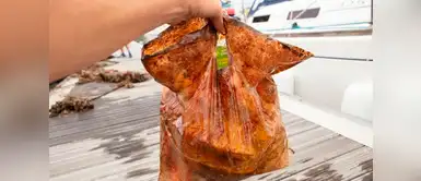 Científicos descubren que las bolsas biodegradables no se degradan Científicos descubren que las bolsas biodegradables no se degradan