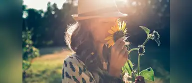 Green tips: 4 consejos para cuidar nuestros girasoles Green tips: 4 consejos para cuidar nuestros girasoles