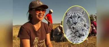 Maestra salva al leopardo de las nieves luchando contra la minería Maestra salva al leopardo de las nieves luchando contra la minería