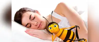 ¿Soñaste con abejas? conoce cuáles pueden ser los significados ¿Soñaste con abejas? conoce cuáles pueden ser los significados