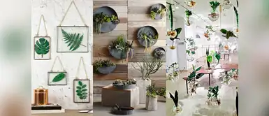 Green Home: 5 ideas estilosas para decorar la casa u oficina con plantas Green Home: 5 ideas estilosas para decorar la casa u oficina con plantas