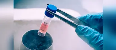 Ahora se podrán guardar los óvulos en la Maternidad de Lima Ahora se podrán guardar los óvulos en la Maternidad de Lima