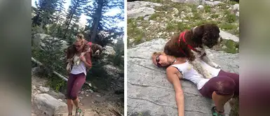 Encontró a perro herido en la montaña, lo cargó en sus hombros y lo curó Encontró a perro herido en la montaña, lo cargó en sus hombros y lo curó