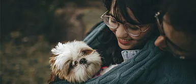 6 Cuidados infaltables para tu perro en otoño 6 Cuidados infaltables para tu perro en otoño