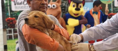 ¡Atención! Campaña médica gratuita para perros y gatos éste sábado ¡Atención! Campaña médica gratuita para perros y gatos éste sábado