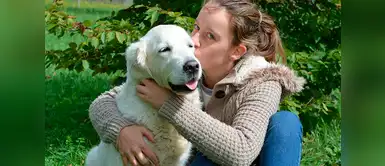 Perros ayudan a reducir el estrés a estudiantes universitarios Perros ayudan a reducir el estrés a estudiantes universitarios