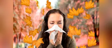 ¿Cómo evitar las alergias en otoño? 5 consejos útiles que te serán de gran ayuda ¿Cómo evitar las alergias en otoño? 5 consejos útiles que te serán de gran ayuda