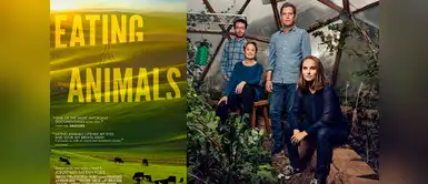 ¿Qué celebridades difunden el veganismo? ¡Conócelas! ¿Qué celebridades difunden el veganismo? ¡Conócelas!