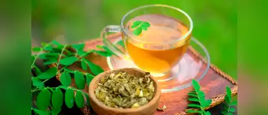 Moringa: para qué sirve y los beneficios que brinda a la salud Moringa: para qué sirve y los beneficios que brinda a la salud