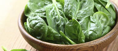 ¿Cómo guardar la espinaca para que dure más tiempo? Aprende este truco ¿Cómo guardar la espinaca para que dure más tiempo? Aprende este truco