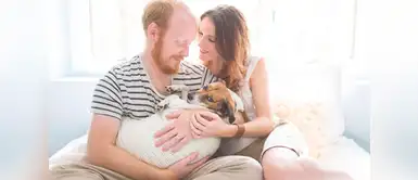 ¿Tratas a tu perro como bebé? Conoce 5 razones para no hacerlo ¿Tratas a tu perro como bebé? Conoce 5 razones para no hacerlo