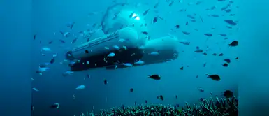 Bajo el agua: Uber lanza nuevo servicio de viajes en submarino Bajo el agua: Uber lanza nuevo servicio de viajes en submarino