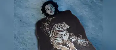 Conoce la historia de la clásica frazada “tigre” que seguro ya estás usando Conoce la historia de la clásica frazada “tigre” que seguro ya estás usando