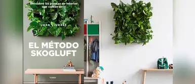 Método Skogluft: rodearnos de determinadas plantas nos puede hacer felices Método Skogluft: rodearnos de determinadas plantas nos puede hacer felices