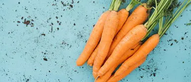 Descubre estas mascarillas de zanahoria para tener una piel radiante Descubre estas mascarillas de zanahoria para tener una piel radiante