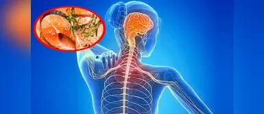 Consumir pescado podría reducir el riesgo de sufrir esclerosis múltiple Consumir pescado podría reducir el riesgo de sufrir esclerosis múltiple