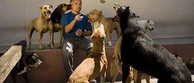 8 Secretos para adiestrar a tu perro según Cesar Millán, entrenador de perros de los famosos 8 Secretos para adiestrar a tu perro según Cesar Millán, entrenador de perros de los famosos