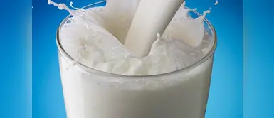 Conoce los 5 alimentos que tienen más calcio que la leche Conoce los 5 alimentos que tienen más calcio que la leche