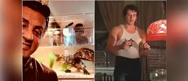 Sylvester Stallone aún tiene las tortugas que le regaló a Adrian en Rocky I Sylvester Stallone aún tiene las tortugas que le regaló a Adrian en Rocky I
