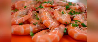 Alergia a los mariscos: causas, síntomas, tratamiento, complicaciones y más Alergia a los mariscos: causas, síntomas, tratamiento, complicaciones y más