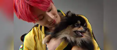 La raza de ‘Tannie’ es tendencia gracias a los fans de BTS en Perú La raza de ‘Tannie’ es tendencia gracias a los fans de BTS en Perú