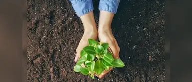 6 consejos para cuidar el medio ambiente ahorrando energía eléctrica en casa 6 consejos para cuidar el medio ambiente ahorrando energía eléctrica en casa