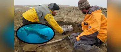 Encuentran los restos de un reptil marino similar al “monstruo del Lago Ness” Encuentran los restos de un reptil marino similar al “monstruo del Lago Ness”