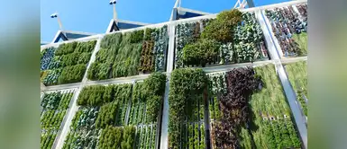 Jardines verticales: tendencia que cada vez es más accesible Jardines verticales: tendencia que cada vez es más accesible