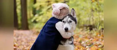 ¿Cómo explicarle a un niño el fallecimiento de su mascota? ¿Cómo explicarle a un niño el fallecimiento de su mascota?