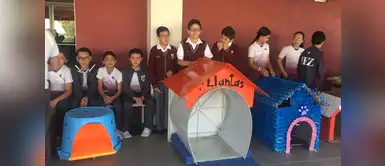 Estudiantes realizan casitas para perros callejeros como proyecto escolar Estudiantes realizan casitas para perros callejeros como proyecto escolar