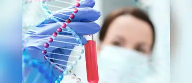 Detecta siete tipos de cáncer con un test de sangre Detecta siete tipos de cáncer con un test de sangre