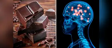 ¿Comer chocolate todos los días es bueno para tu cerebro? ¿Comer chocolate todos los días es bueno para tu cerebro?