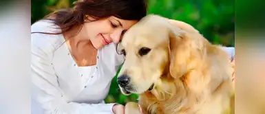 Conoce porqué nunca debes pegarle a tu perro Conoce porqué nunca debes pegarle a tu perro