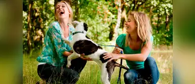 ¿Cómo ayudar a mi perro a ser más sociable con otros canes? ¿Cómo ayudar a mi perro a ser más sociable con otros canes?