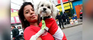 5 Ideas de ropa de mascotas para alentar a la selección peruana 5 Ideas de ropa de mascotas para alentar a la selección peruana