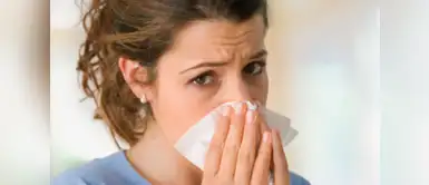 Evita las alergias esta temporada con estos consejos Evita las alergias esta temporada con estos consejos