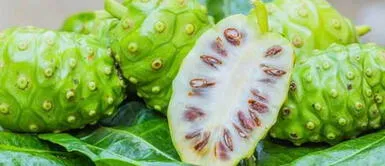 Prepara una mascarilla a base de noni para evitar la caída del cabello Prepara una mascarilla a base de noni para evitar la caída del cabello