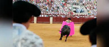 Cierran plaza de toros a favor de protección a los animales en Quito Cierran plaza de toros a favor de protección a los animales en Quito