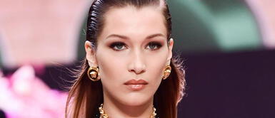 Bella Hadid causó indignación en las redes sociales por la foto de una bota Bella Hadid causó indignación en las redes sociales por la foto de una bota